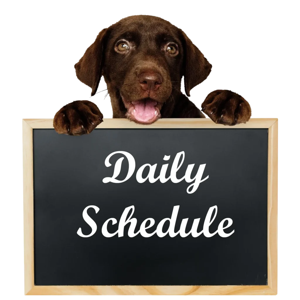 dog holding a daily schedule sign